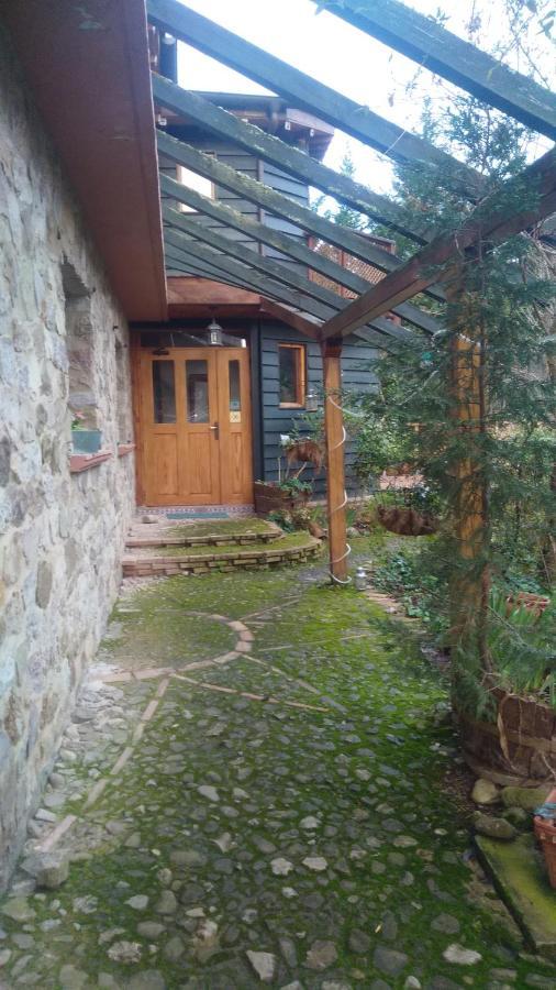 La Casa Verde Islallana Extérieur photo