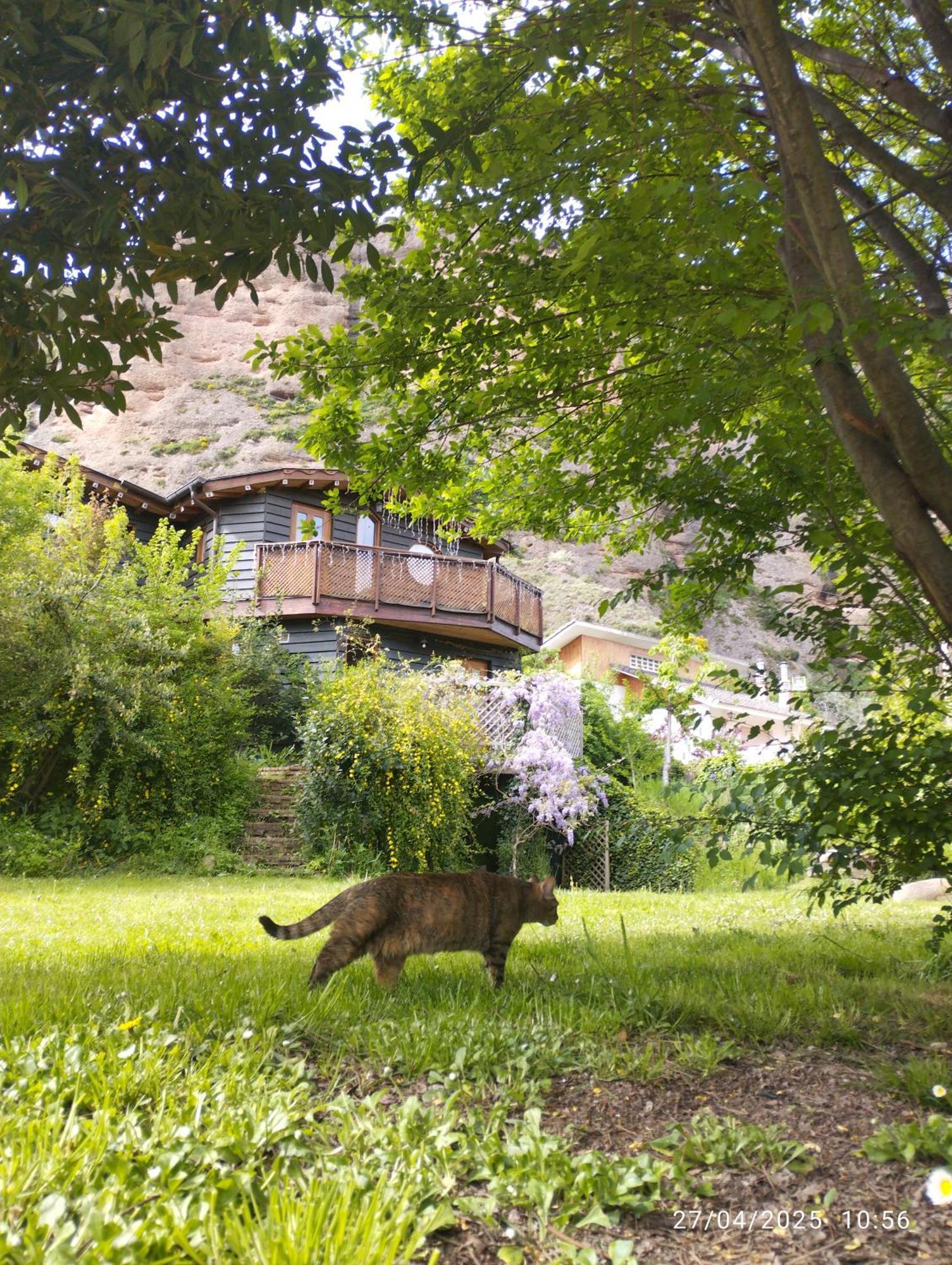 La Casa Verde Islallana Extérieur photo